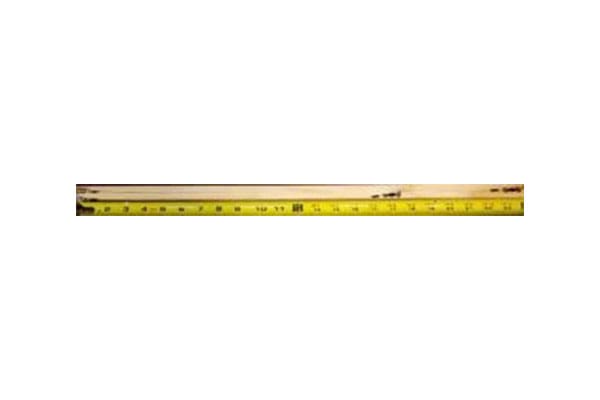 A yellow measuring tape is extended next to a wooden stick on a white background.